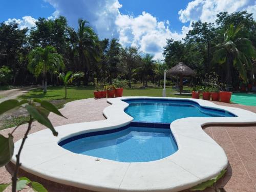a swimming pool in a resort with trees in the background at Paradise Ranch in Cozumel