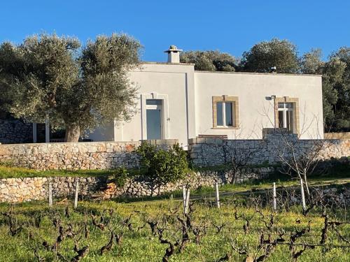 Casa dei Vigneti – Photos 4