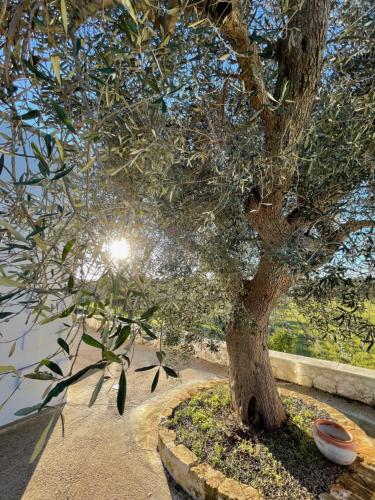 Casa dei Vigneti – Photos 5