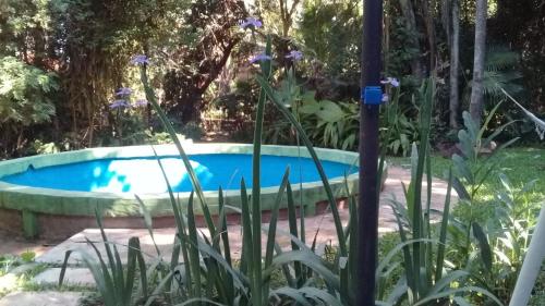 una piscina en un jardín con flores púrpuras en CasaNatura en Posadas