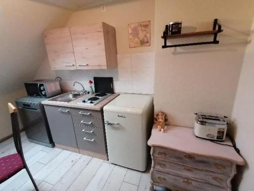 eine kleine Küche mit Kühlschrank und Spüle in der Unterkunft Haus Lupo am Kanal in Castrop-Rauxel