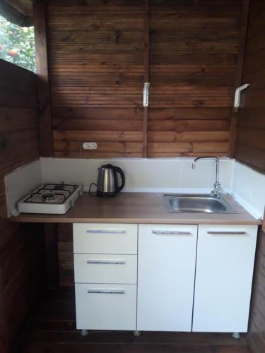 Η κουζίνα ή μικρή κουζίνα στο Bungalow Halil