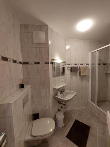 a bathroom with a toilet and a sink and a shower at 3 Raben - Leoben - Zimmer für Geschäftsreisende, Urlauber, Monteure und Handwerker, Polski Pensjonat Austria in Leoben
