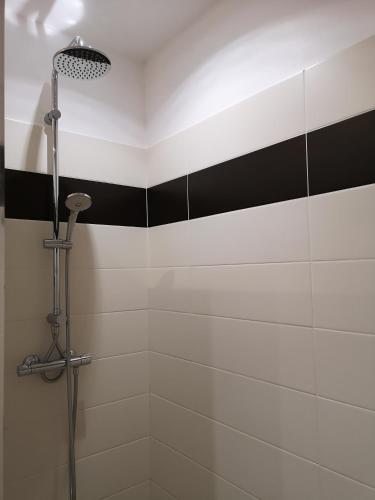La salle de bains est pourvue d'une douche à rayures noires et blanches. dans l'établissement T3 vue mer à Propriano, à Propriano