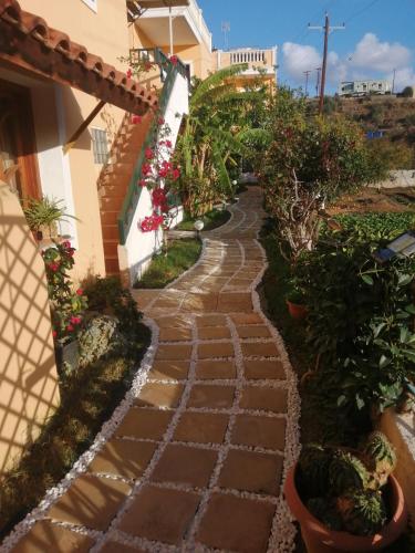 Сад в Dioskouroi Apts