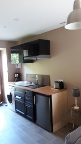 a kitchen with a sink and a counter top at Agréable gîte en pleine nature in Parmilieu