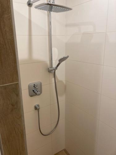 a shower with a shower head in a bathroom at Ferienwohnungen Hensel in Minsen