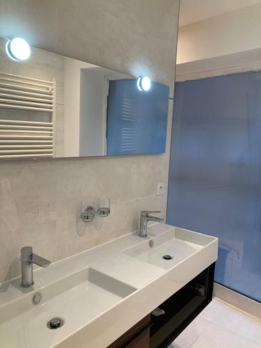 a bathroom with a white sink and a mirror at Appart' Au Coeur de Nuits in Nuits-Saint-Georges