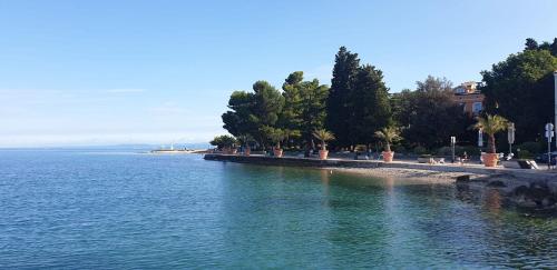 a large body of water with trees and a building at Apartments Nautilus, nearby beach Svetilnik in Izola