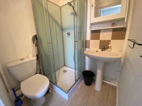 une salle de bain avec une douche, des toilettes et un lavabo dans l'établissement Petit studio confortable pour deux personnes - 037, à Rouen