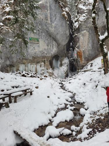 a snow covered path in a park with benches at 7Soapte in Braşov