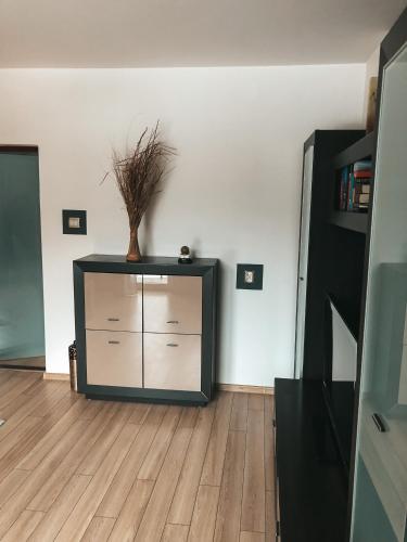Η κουζίνα ή μικρή κουζίνα στο Jaszczurowa Apartament II