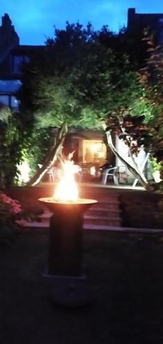 a fountain in the middle of a garden at night at Huize La Passion vacationhouse 10 min walk from the sea in Middelkerke