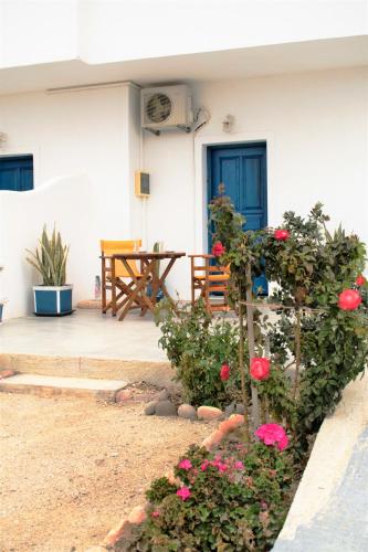 ONAR STUDIOS MILOS Junior