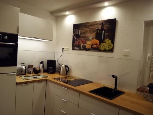 cocina con encimera con fregadero y encimera en Ferienwohnung Renke, en Alberode