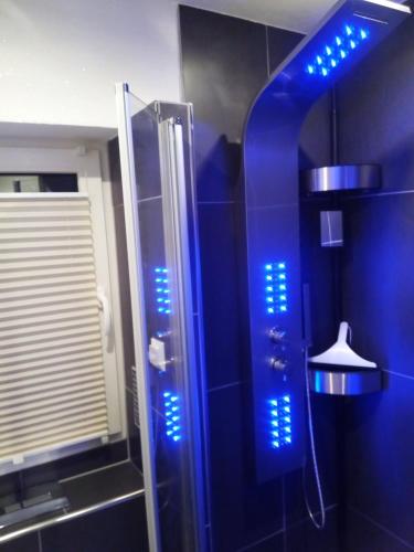 a blue bathroom with a shower and a mirror at Ferienwohnung Renke in Alberode