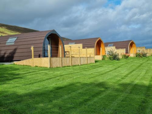 Κήπος έξω από το Lilly's Lodges Orkney Robin Lodge