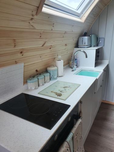 Η κουζίνα ή μικρή κουζίνα στο Lilly's Lodges Orkney Robin Lodge