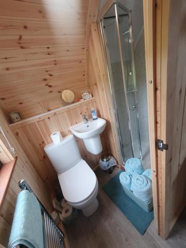 een badkamer met een toilet, een wastafel en een douche bij Lilly's Lodges Orkney Robin Lodge in Orkney