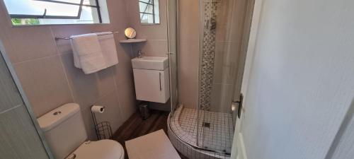un piccolo bagno con wc e doccia di Spacious Cottage a Mount Road