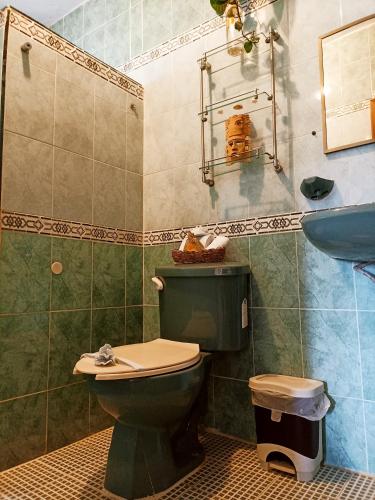a bathroom with a green toilet and a sink at Casa De Los Pájaros - B&B in Valladolid