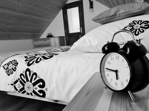 Postel nebo postele na pokoji v ubytování Apartament w Jałowcach