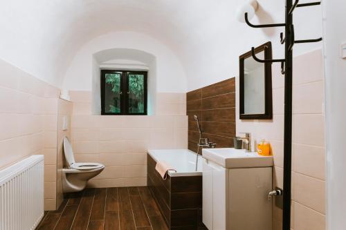 a bathroom with a sink and a toilet at Apartmany Slavkovice-Lipno in Černá v Pošumaví