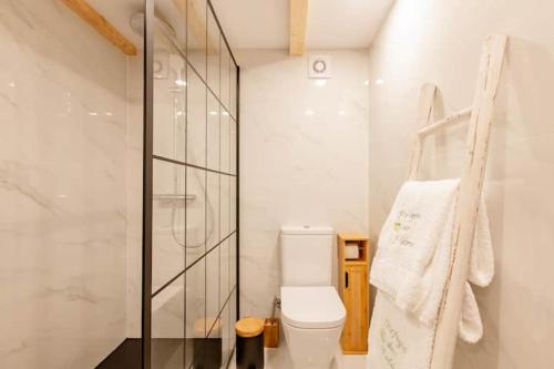 a bathroom with a toilet, sink, and shower stall at Refúgio das Poldras in Mondim de Basto