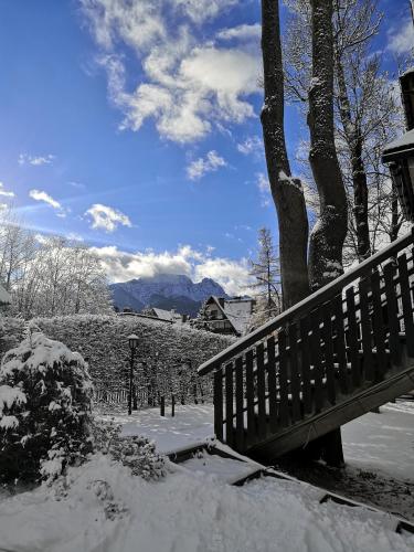 a bench covered in snow next to a tree at Czarny Potok Wellness & Spa Zakopane Centrum in Zakopane