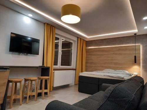 TV a/nebo společenská místnost v ubytování Apartamenty Lubin -Amaretto-
