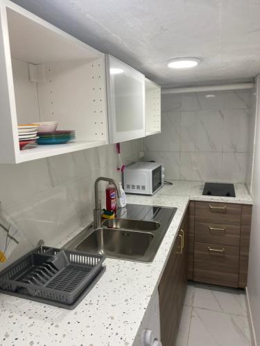 une petite cuisine avec un évier et un micro-ondes dans l'établissement Nice Studio Livry, à Livry-Gargan