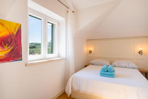 sypialnia z łóżkiem i oknem w obiekcie Olive Park House Brač w mieście Povlja