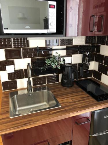 un comptoir de cuisine avec un évier et un micro-ondes dans l'établissement Studio Fondue chocolat, 100m des pistes Wifi fibre, parking privé, à Bernex