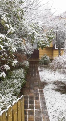 Dowling Cottage - tranquil haven in Blackheath v zimě