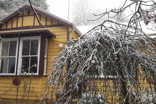 Dowling Cottage - tranquil haven in Blackheath v zimě