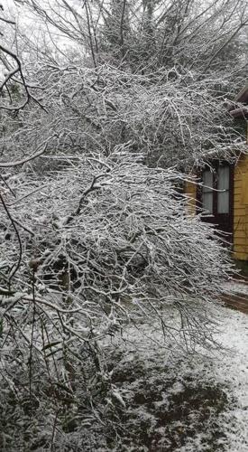Dowling Cottage - tranquil haven in Blackheath v zimě