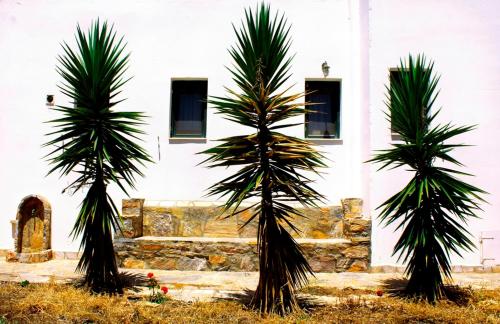 Thomas Apartments Katapola - Choraにある庭