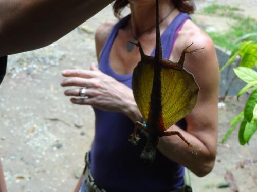 a woman holding a large leaf in her hands at Khao Sok Palmview Resort in Khao Sok