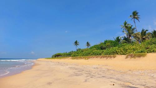 a sandy beach with palm trees and the ocean at Bandulas Beach House in Hikkaduwa