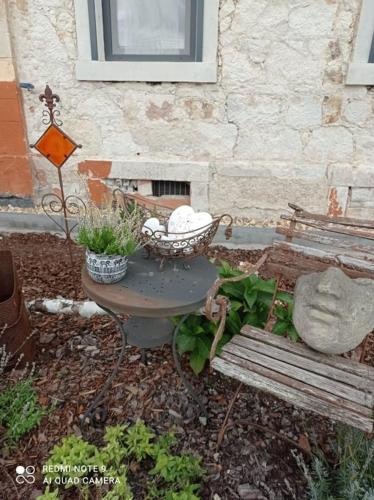 a garden with a bench and a table and a basket at Dom Mili in Henryków Lubański