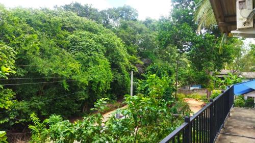 a view of the forest from the balcony of a house at Priyanna Guest, Forest view in Polonnaruwa