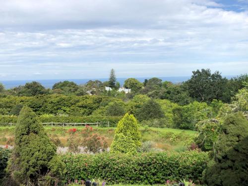 a view of a garden with bushes and trees at Tiverton in Kurrajong