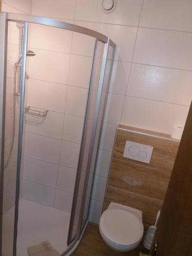 a bathroom with a toilet and a shower at Pension Sonnenhof in Mieming