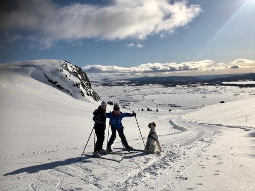 dos personas y un perro esquiando en la nieve en Olestølen en Skammestein