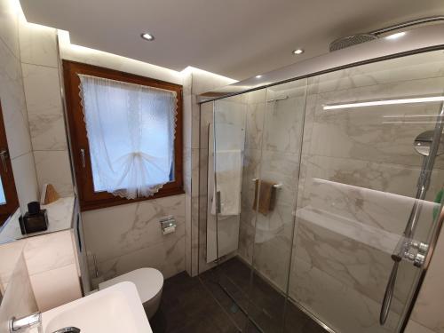 ein Bad mit einer Dusche, einem Waschbecken und einem WC in der Unterkunft Strahlhorn in Zermatt
