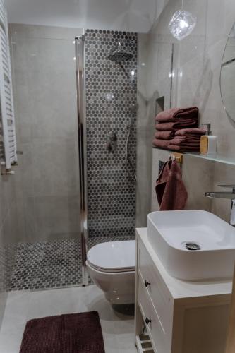 a bathroom with a shower and a toilet and a sink at Apartament Żeromskiego 1 in Sandomierz