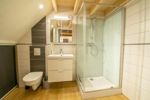 ein Bad mit einer Dusche, einem WC und einem Waschbecken in der Unterkunft F2 201 neuf proche gare TGV, A36 et commerces in Botans