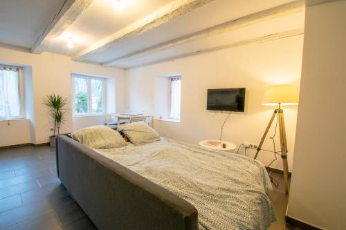 a bedroom with a large bed in a room at F2 101 neuf proche gare TGV, A36 et commerces in Botans
