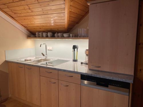 a kitchen with a sink and a counter top at Bauernhof Flucher-Plaschg in Straden