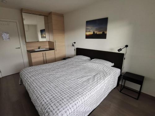ミッデルケルケにあるAppartement Beachview Westendeのベッドルーム(ベッド1台、シンク付)
